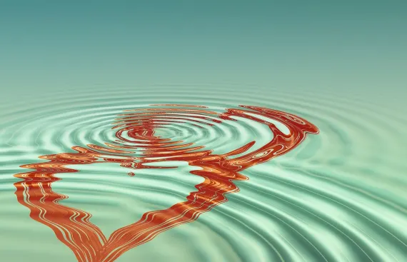 BingoCom Casino Tugi